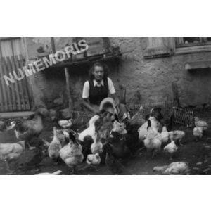 Chirens : basse-cour en 1955