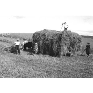 Chirens : char de foin en 1947