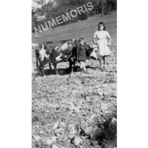 Chirens : labour &agrave; Beaudin&eacute; en 1945