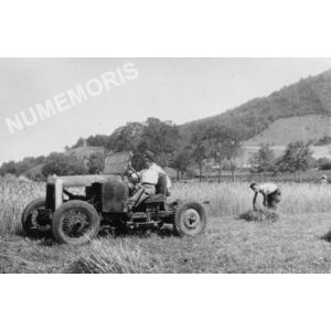 Chirens : moisson en 1948 &agrave; Clermont