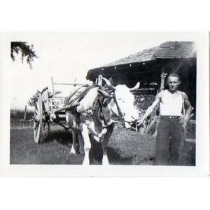 Charancieu : char &agrave; boeufs