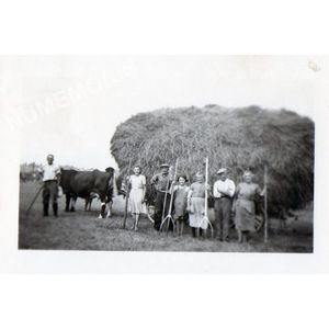 Charancieu : les Foins