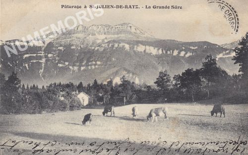 JG 466 P&acirc;turage &agrave; Saint-julien-de-Ratz la Grande-Sure