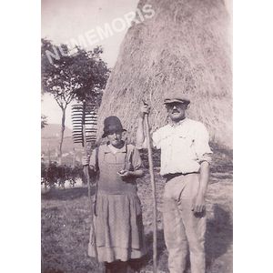 saint Aupre : les foins chez Joseph Rey