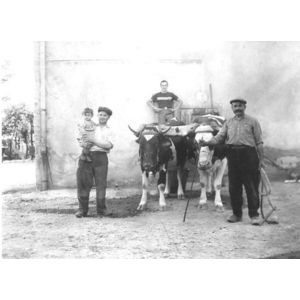 agriculteurs de Paviot en 1936
