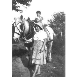 travaux des champs &agrave; Paviot en 1957