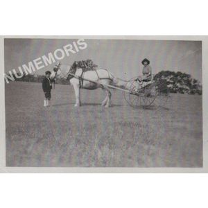 la B&acirc;tie-Divisin : rateau &agrave; foin 