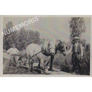 la B&acirc;tie-Divisin : labour avec des chevaux