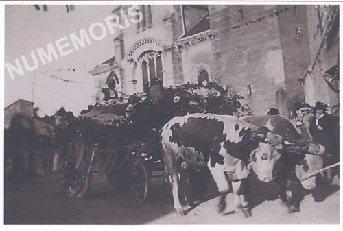 la B&acirc;tie Divisin pp