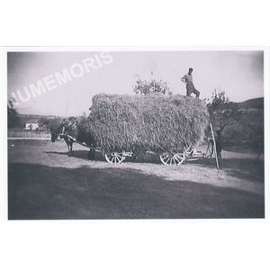 la B&acirc;tie-Divisin : char de foin