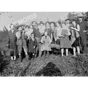 Coublevie : vendanges au Massot