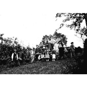 Coublevie : vendanges au Massot