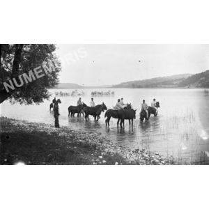 militaires abreuvant leurs mulets et chevaux au lac