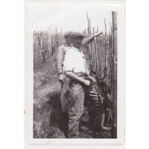 Coublevie : entretien de la vigne vers 1940