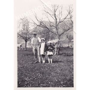 Coublevie : les enfants gardent les vaches....