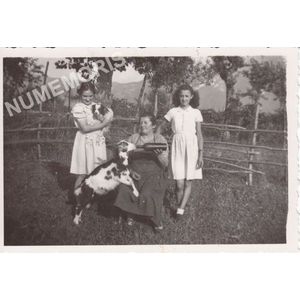 Tullins : t&eacute;t&eacute;e de la ch&egrave;vre