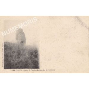 5-82 Voissant ruines de l'ancien Ch&acirc;teau de Vaulserre