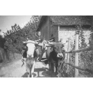 Bilieu : l'attelage men&eacute; par th&eacute;r&egrave;se Brochier du David