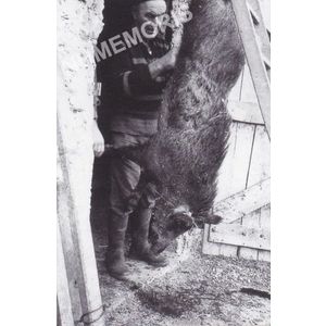 Bilieu : Joseph Micoud et un sanglier