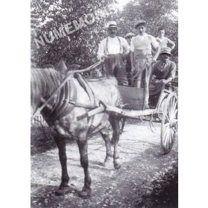 Bilieu : une voiture &agrave; cheval avec M. Truffier-Blanc coquetier