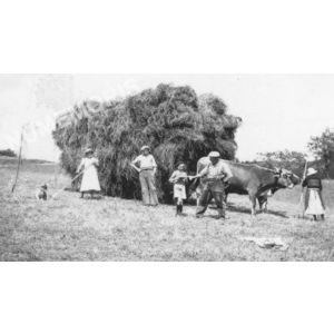 Bilieu : les foins chez Brochier au David