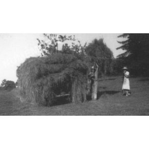 Bilieu : la fenaison &agrave; Raffet par la famille Penet