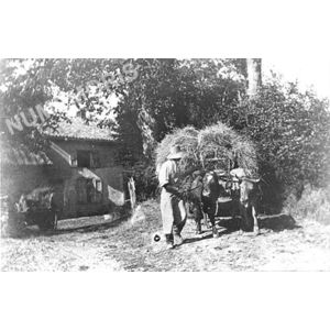 Bilieu : char de foin avant 1914