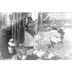 Bilieu : ferme Deschaux, la bassecour