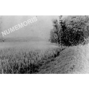 bilieu : bords du lac et sa roseli&egrave;re