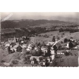 environs de St-Geoire-en-Valdaine (Isère) 5095 Merlas