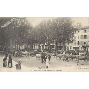 055 Voiron le march&eacute; aux Bestiaux