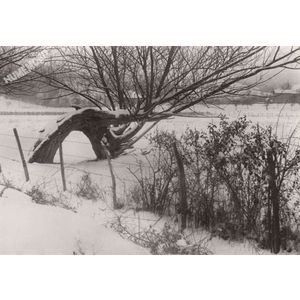 Les Abrets Isère 38 (A Pré-noir sur la Nle 75)