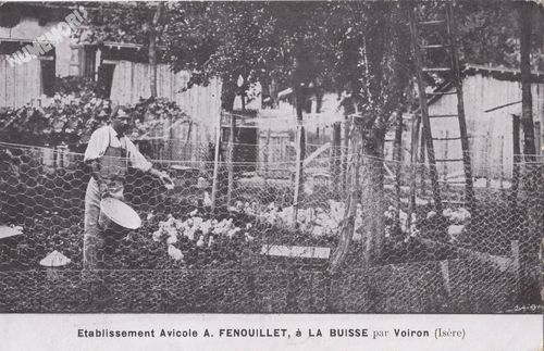 Etablissement Avicole A. Fenouillet, &agrave; la Buisse par Voiron (Is&egrave;re)