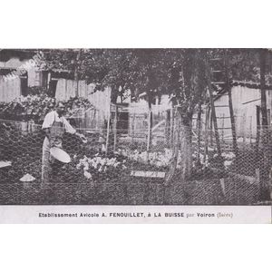 Etablissement Avicole A. Fenouillet, &agrave; la Buisse par Voiron (Is&egrave;re)