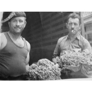 Voiron : cueillette des poules des bois