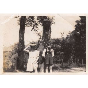 Voissant : deux enfants