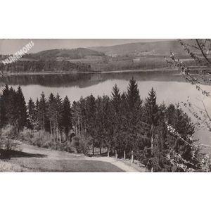 21322 lac de Paladru-Charavines (Is&egrave;re) le bois d'Amour