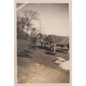 Tolvon (Saint Etienne de Crossey) : les foins vers 1950