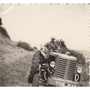 Tolvon (Saint Etienne de Crossey) : les foins en 1963