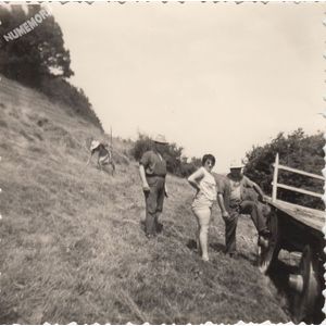 Tolvon (Saint Etienne de Crossey) : les foins en 1963