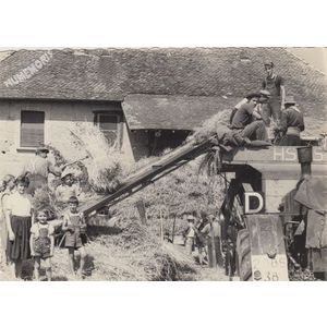 la batteuse de Montferrat &agrave; Fitilieu en 1954