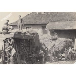 la batteuse de Montferrat &agrave; Fitilieu en 1954