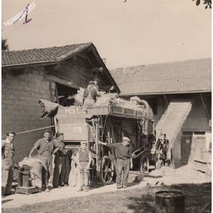 Montferrat : batteuse en 1960