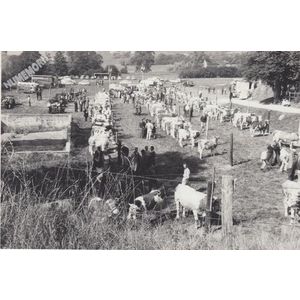 Montferrat : comice cantonnal en 1966