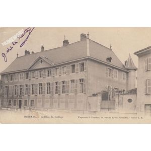 Moirans ch&acirc;teau du grillage