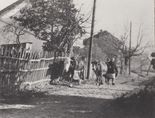 Mairie de Saint Blaise du Buis