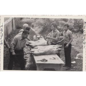 mechoui &agrave; Bonpertuis en 1974