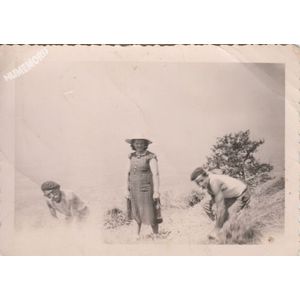 la Buisse : moisson vers 1950