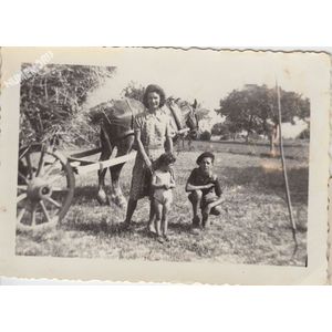 la Buisse : un attelage de foin