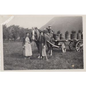 la Buisse : vendanges